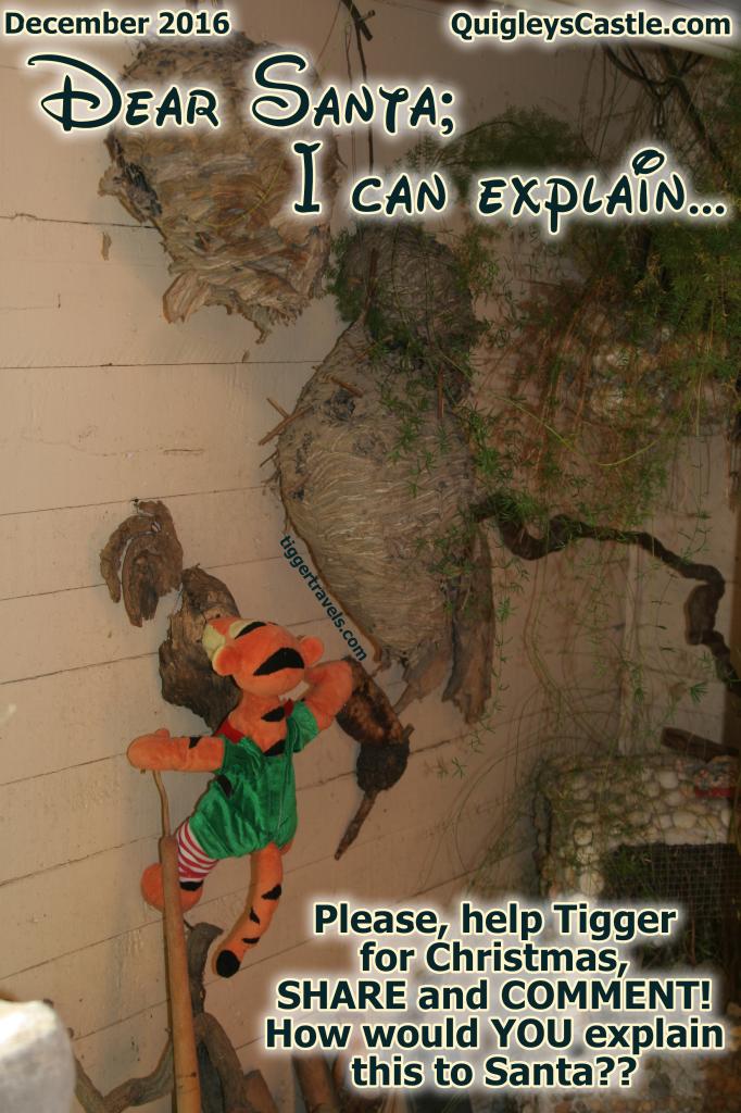 Click to enlarge image MERRY CHRISTMAS and THANK YOU for all the help in writing my letter to Santa this year!  Tigger is going on a DISNEY CRUISE!! WOOHOO!!! Santa was good to Tigger this Christmas! - Dear Santa-I can Explain... Tigger writes his letter to Santa #TiggersLetterToSanta2016 - Tigger needs your help writing his 2016 Christmas letter to Santa! Quigley's Castle edition