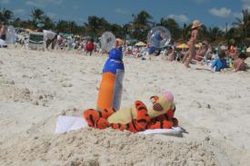 Click to enlarge image Tigger enjoying the sun on Castaway Cay - Disney Cruise Line is saying good bye to Galveston - and heading back to Miami, January 2014