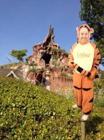 Click to enlarge image Oh boy , oh boy , oh boy. Splash Mountain - Flat Tigger Goes to Disneyland - The continuing story of Ray's Flat Tigger