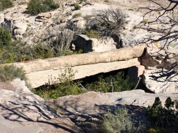 Click to enlarge image Agate Bridge seen with the 1917 concrete support. - Agate Bridge in the Petrified Forest National Park, Arizona - History preserved but not forever, see it while you can!