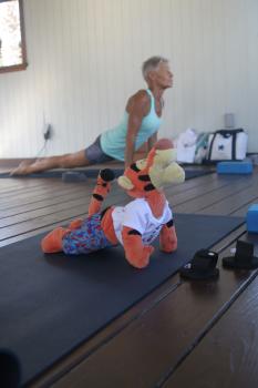 Click to enlarge image Tigger can look out for Heffalumps and dogs better in the UP DOG position!! - Tigger Attends Yoga Class at The Balinese Wellness Spa and Yoga Retreat  - Port Aransas, Texas