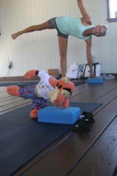 Click to enlarge image  - Tigger Attends Yoga Class at The Balinese Wellness Spa and Yoga Retreat  - Port Aransas, Texas