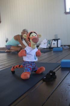Click to enlarge image This is Yoga, not Karate, Tigger!! - Tigger Attends Yoga Class at The Balinese Wellness Spa and Yoga Retreat  - Port Aransas, Texas