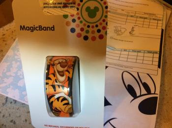 Click to enlarge image  - Tigger Magic Band Returns to Disney Store! - Tigger missed it last time but ordered it right away as soon as they came back out!!