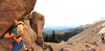 Click to enlarge image Once again, Tigger needs to be rescured!! - Exploring the Top of Pikes Peak Mountain - Near Colorado Springs, Colorado, over 14,000 feet and a view that is hard to beat!
