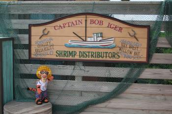Click to enlarge image Captain Bob Iger? Who can tell Tigger who this worthy seaman is!?! - Castaway Cay is a private PARADISE managed by Disney Cruise Line! - The only way Tigger or any other guests of Disney Cruise Line can get to Castaway Cay is on a Cruise.