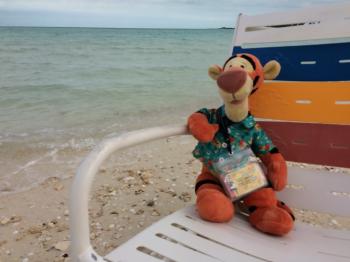 Click to enlarge image Sitting in a beach chair watching the ocean or watching the people, Tigger LOVEs this beautiful place!! - Castaway Cay is a private PARADISE managed by Disney Cruise Line! - The only way Tigger or any other guests of Disney Cruise Line can get to Castaway Cay is on a Cruise.