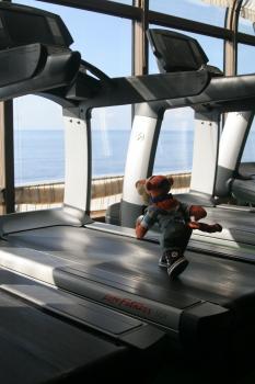 Click to enlarge image Tigger got some help getting started on this treadmill. - Fitness Center on Disney Cruise Line - Tigger keeps in shape at the Disney Fantasy's Senses Fitness Center