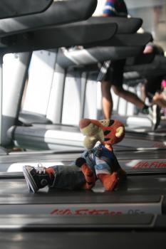 Click to enlarge image Fortunately, Tigger suffered nothing more than a broken ego, he was fine! - Fitness Center on Disney Cruise Line - Tigger keeps in shape at the Disney Fantasy's Senses Fitness Center
