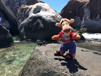 Click to enlarge image At first, Tigger was ver nervous so close (and in the middle) of the water. Most of it is only knee deep to children but Tigger is much shorter! - TRC Boating in the British Virgin Islands - Part 2 of 5 - Virgin Gorda and The Baths