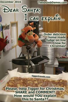 Click to enlarge image I don't think Tigger should be eating fudge right out of the MIXER!! Can you help?? - 5 of #25daysofChristmas! - Dear Santa-I can Explain... Tigger writes his letter to Santa #TiggersLetterToSanta2016 - Tigger needs your help writing his 2016 Christmas letter to Santa! Two Dumb Dames Edition