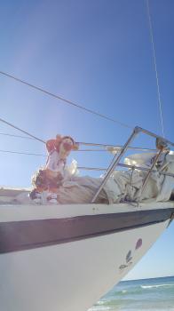 Click to enlarge image Captain John Hale runs a tight ship and Tigger is just LOVING the blue skies and open sea!!! - Free Lilly - Help the #PhantomoftheAqua Rise Again - #TiggersSailingAdventure2017 #FreeLilly #HelpThePhantomoftheAquaRiseAgain