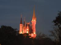 Click to enlarge image  - Walt Disney World Vacation - Magic Kingdom - Page Nine